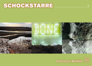 Schockstarre