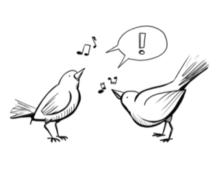 Seminar: Kreativität